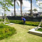 Thiết kế thi công trồng cây xanh cho công ty demo 2