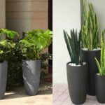 Thiết kế thi công trồng cây xanh cho công ty demo 2