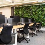 Thiết kế thi công trồng cây xanh cho công ty demo 2