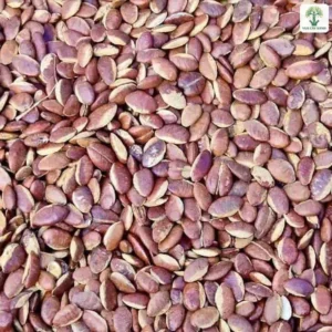 Hạt Kơ Nia khô nâu đỏ được trải thành lớp dày.
