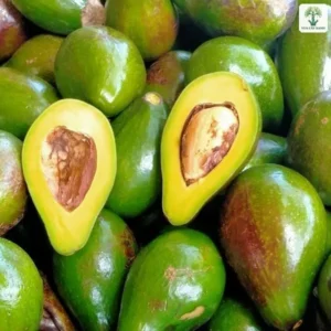 Những quả bơ xanh, có quả bổ đôi lộ thịt vàng.